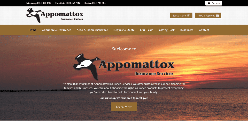 Insurance Website